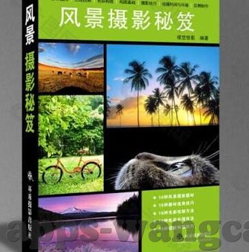 mk体育app里尔-重塑绿茵新体验，MK体育APP与里尔足球的共舞