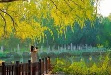 足球比分制度-足球比分制度，绿茵场上的规则基石与竞技灵魂